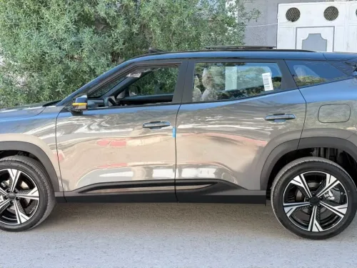 Geely Cityray  2026 10 th Anniversary champion edition 