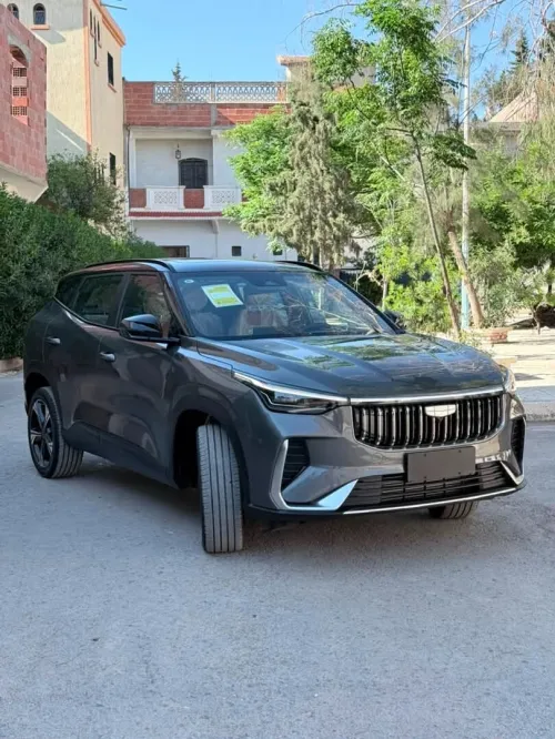 Geely Cityray  2026 10 th Anniversary champion edition 
