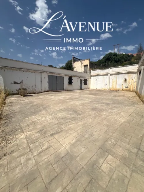 Location Hangar - Usine Boumerdès Boudouaou