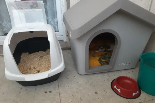 Matériels pour chiens