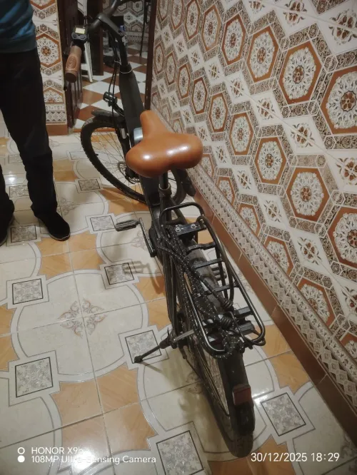 Velo electrique gitane