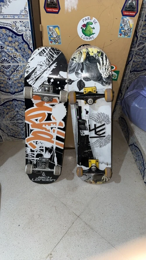 Skate board