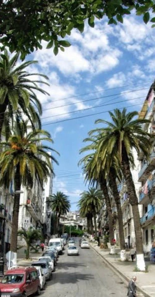 Location Appartement F5 Alger Alger centre