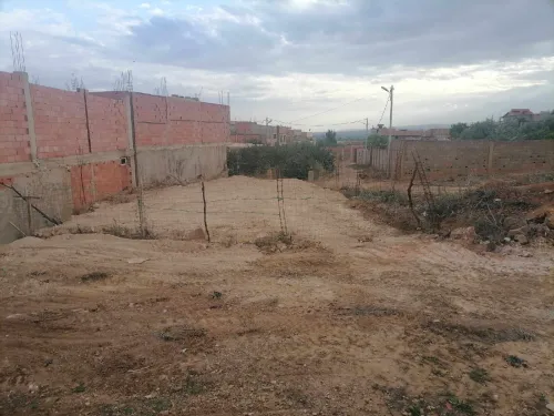 Vente Terrain Chlef Chettia