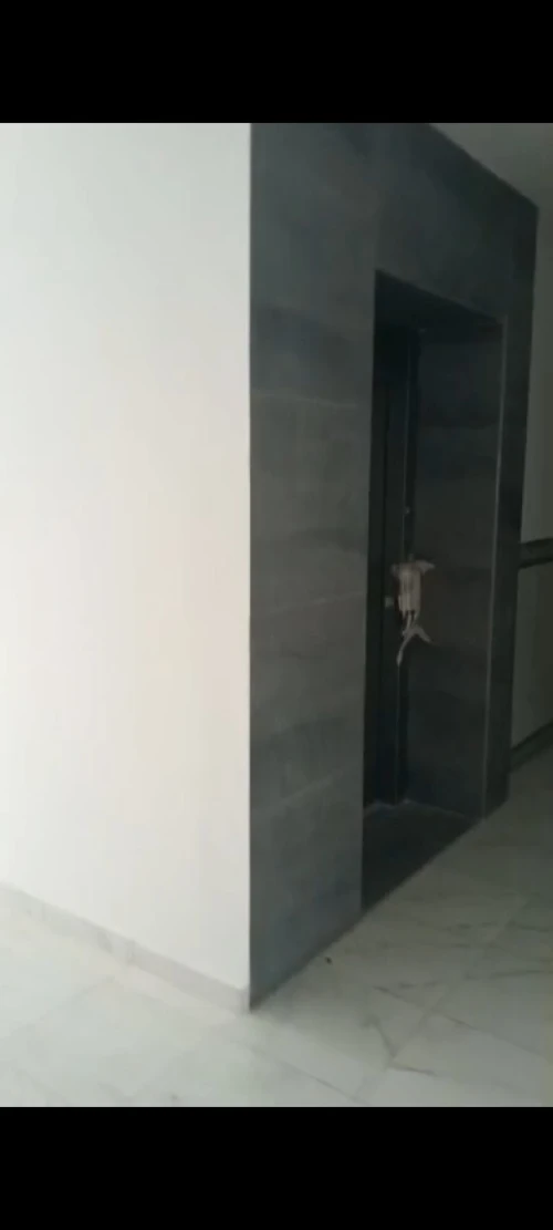 Vente Appartement F4 Boumerdès Boumerdes