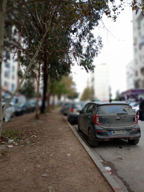 Vente Local Alger Ain naadja