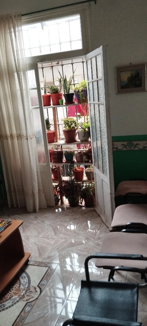 Location Appartement F3 Alger Bab el oued