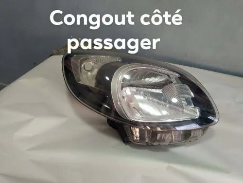 Fars congout côté passager 