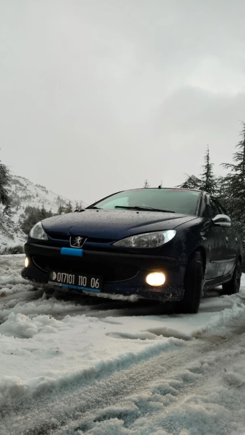 Peugeot 206 Sedan 2010 206 Sedan