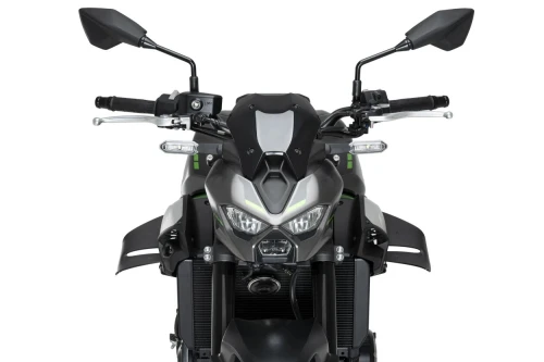 Aileron  D12 z900 2025