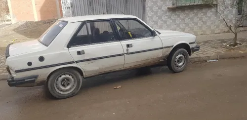 305 305 1987 1987