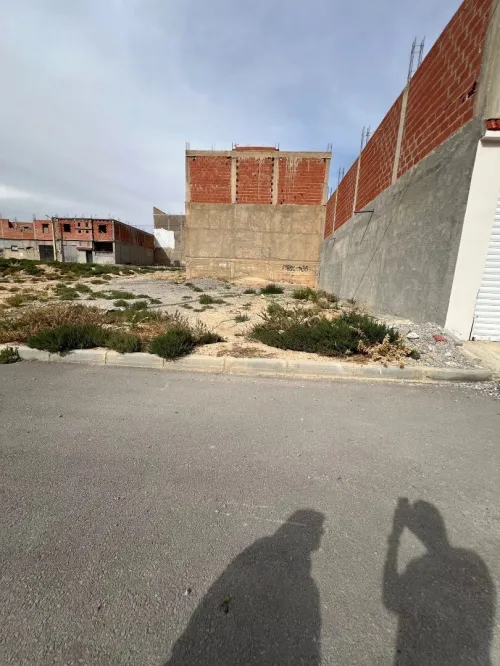 Vente Terrain Tébessa Tebessa
