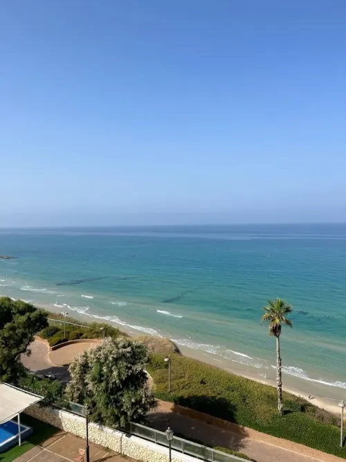 Vente Appartement Alger Ain taya