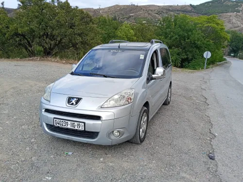 Peugeot Partner 2010 Tepee