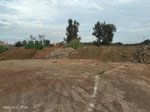 Vente Terrain Alger Tessala el merdja
