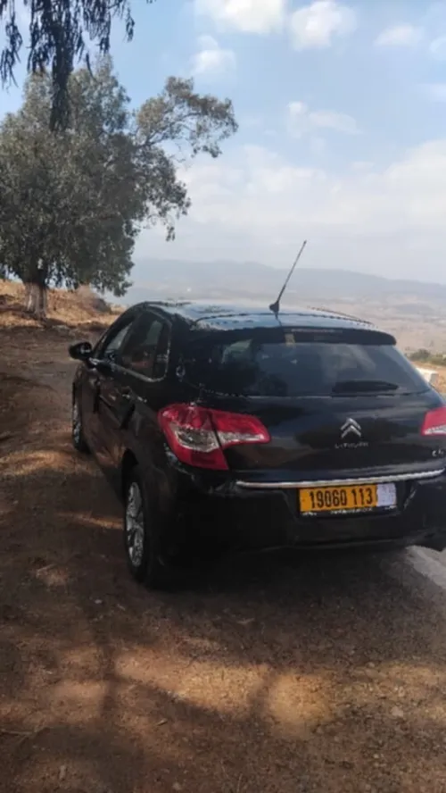 Citroen C4 Picasso 2013 5 Portes