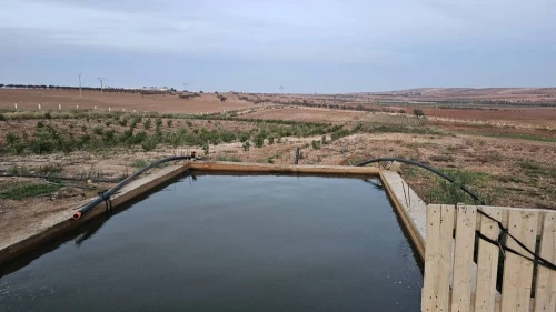 Vente Terrain Agricole Oran Boufatis 18