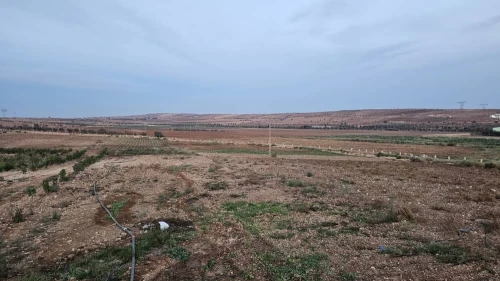 Vente Terrain Agricole Oran Boufatis 4