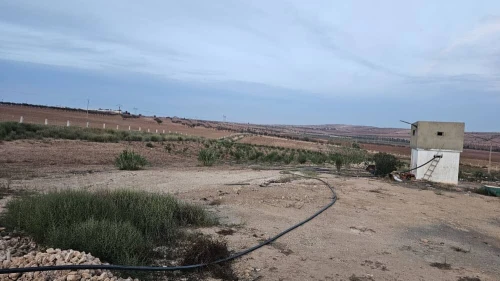 Vente Terrain Agricole Oran Boufatis 2
