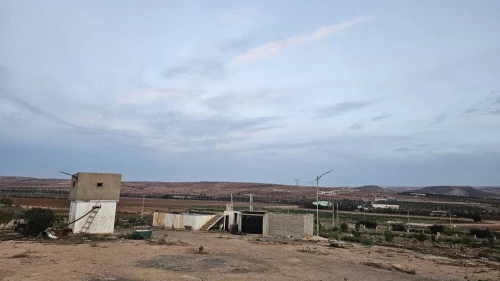 Vente Terrain Agricole Oran Boufatis 12