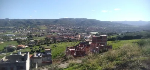Vente Terrain Boumerdès Ouled moussa