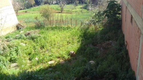 Vente Terrain Alger Douera