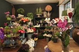 Fleuriste / vendeuse  