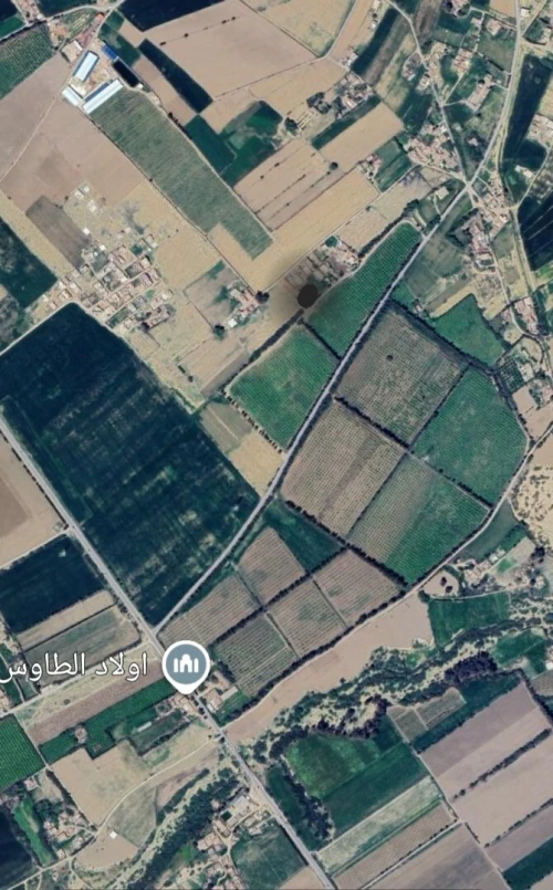 Vente Terrain Chlef Ouled fares