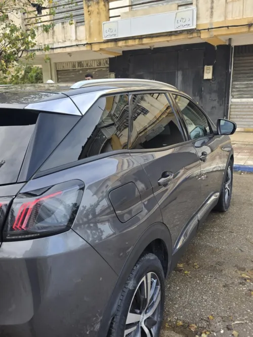 Peugeot 3008 2022 3008