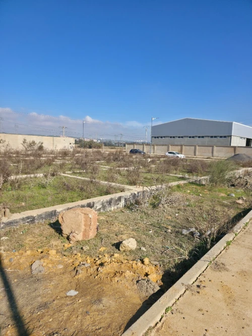 Vente Terrain Tipaza Kolea