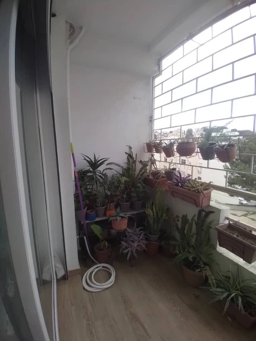 Vente Appartement F4 Alger Said hamdine