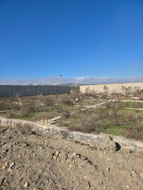 Vente Terrain Tipaza Kolea