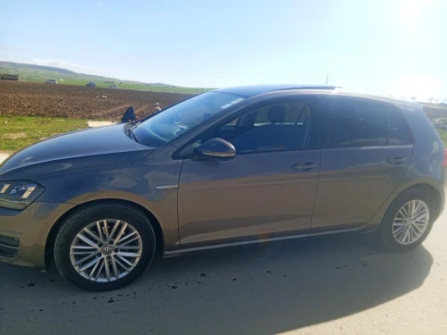Volkswagen Golf 7 2015 Cup