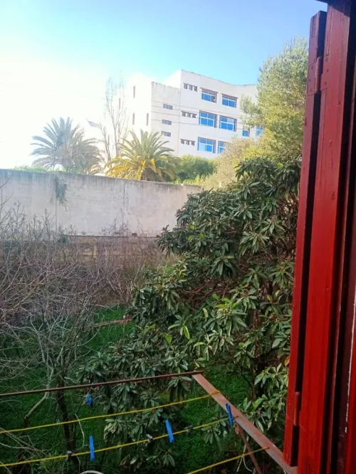 Vente Appartement F4 Alger Dely brahim