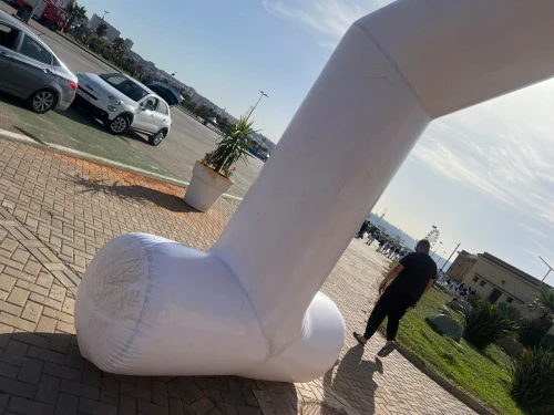 Location arch gonflable