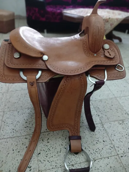 البليدة