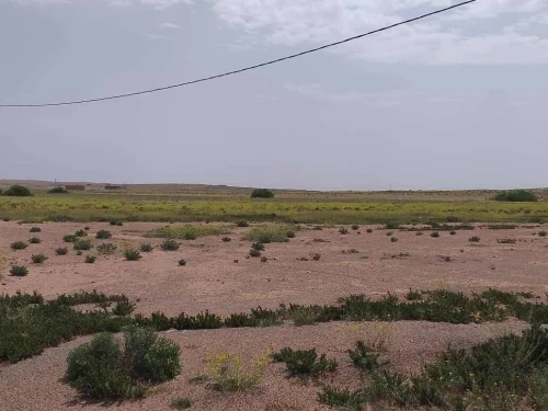 Vente Terrain Agricole M'Sila Zerarka