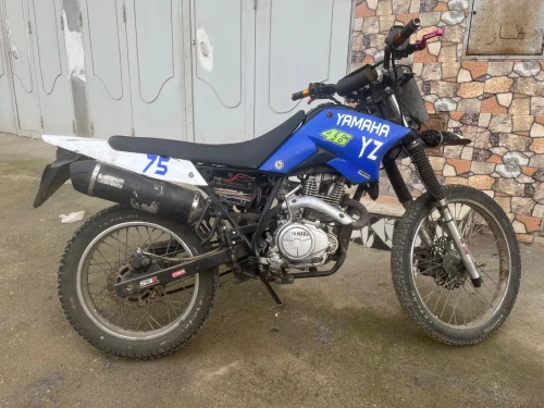Cross Cross 2020