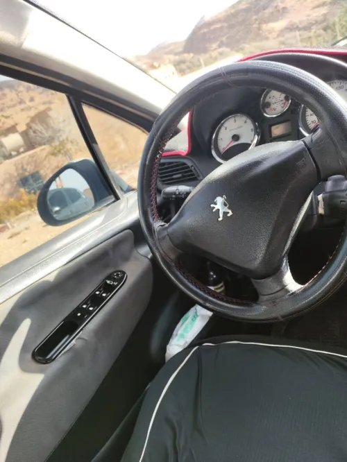 Peugeot 207 2009 