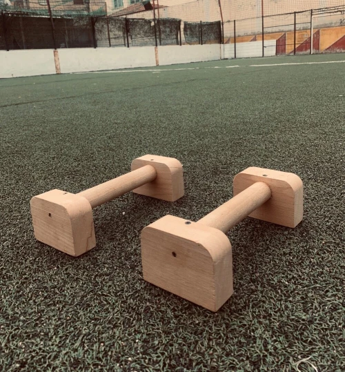 Gripper hand  parallettes