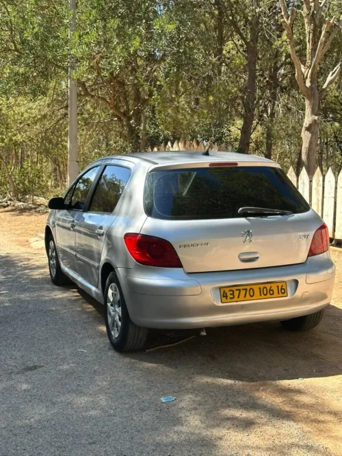 Peugeot 307 2006 Oxygo