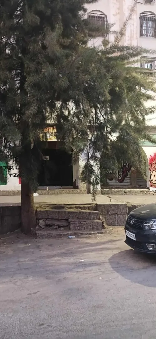 Location Local Alger Birkhadem