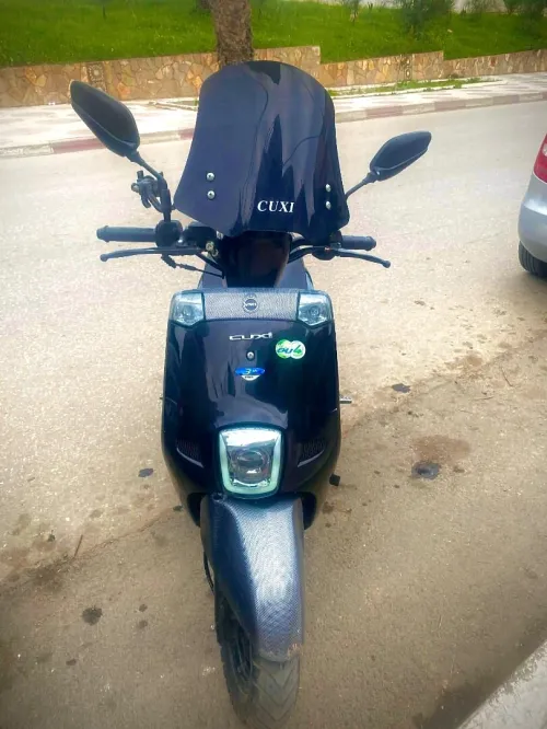 Cuxi 1 2025