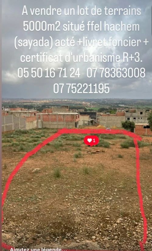 Vente Terrain Mostaganem Sayada
