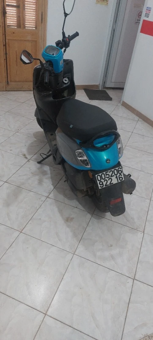 Vms Estate 2022