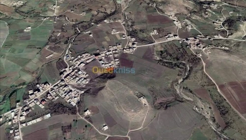 Vente Terrain Batna Oued taga