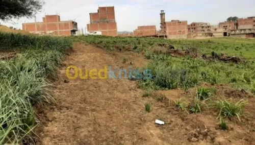 Vente Terrain Jijel Kaous