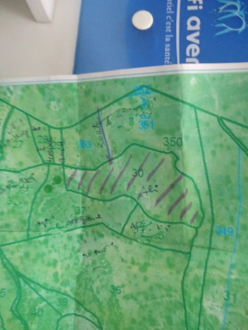 Vente Terrain Bouira Bechloul