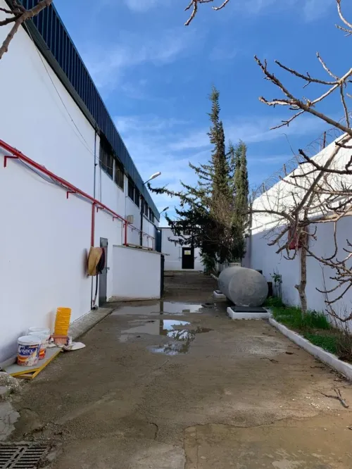 Location Hangar - Usine Oran Oran