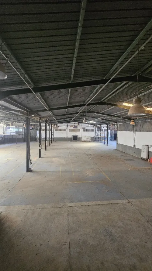 Location Hangar - Usine Oran Oran